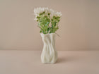Flora